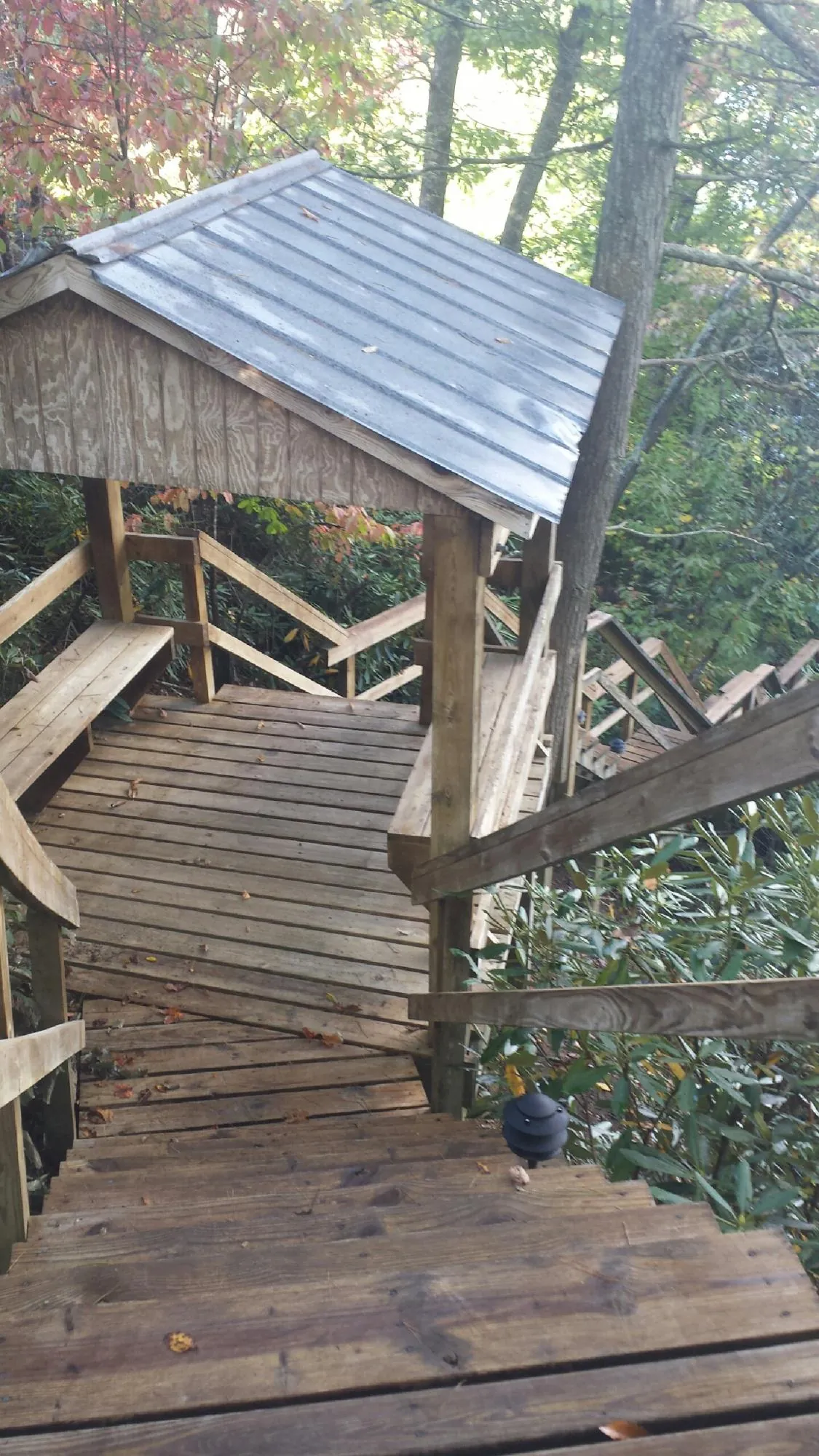 Metal roofed shelter over wooden steps on a wooded walkway — Skylight Repair & Installation work by our crew in Milligan